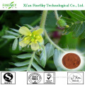 100% natural saponins/tribulus terrestris extract powder for Non-hormonal nutritional supplements